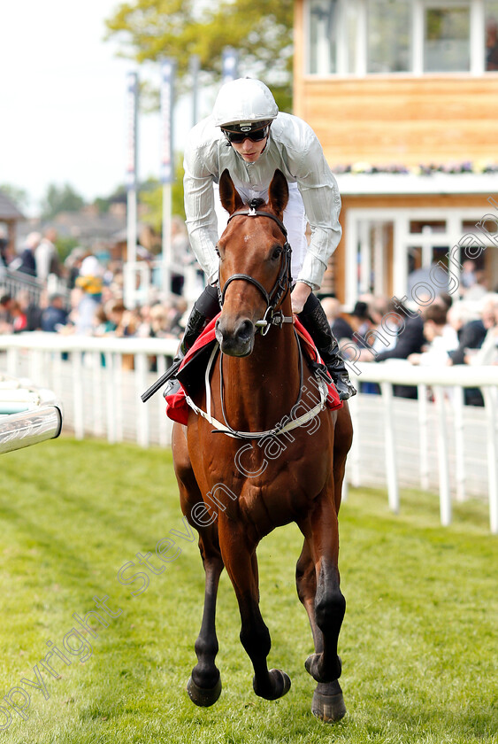 Mildenberger-0001 
 MILDENBERGER (James Doyle)
York 17 May 2018 - Pic Steven Cargill / Racingfotos.com