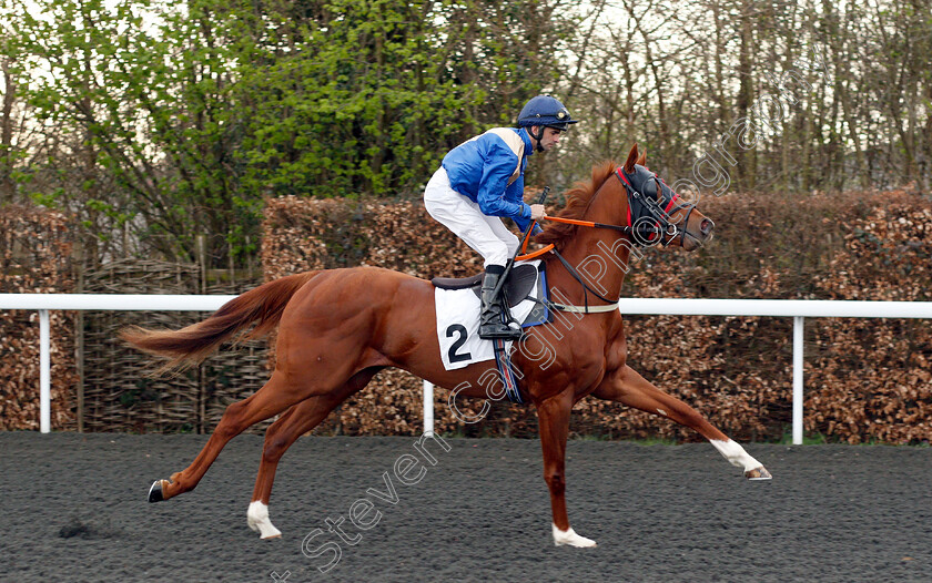 Love-Your-Work-0001 
 LOVE YOUR WORK (Robbie Walsh)
Kempton 23 Mar 2019 - Pic Steven Cargill / Racingfotos.com