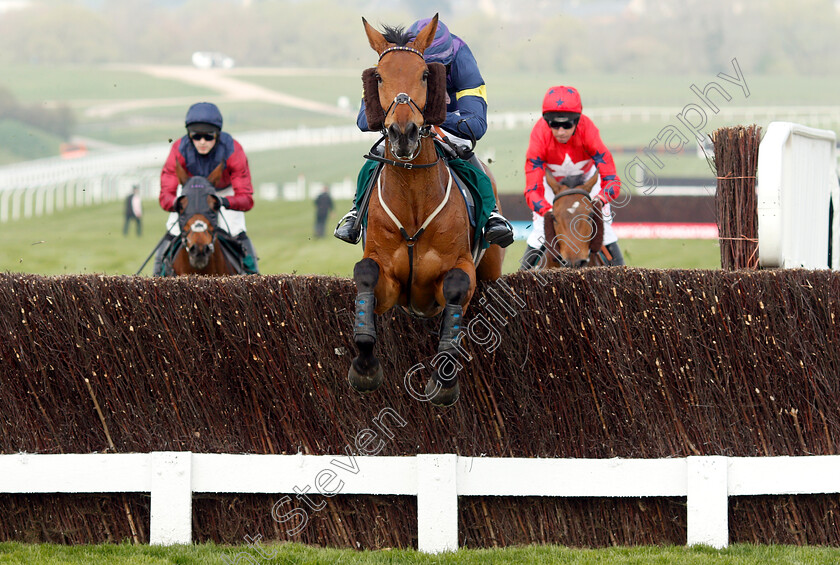 Bob-Mahler-0001 
 BOB MAHLER (Daryl Jacob) wins The Arkells Brewery Nicholson Holman Novices Limited Handicap Chase
Cheltenham 17 Apr 2019 - Pic Steven Cargill / Racingfotos.com