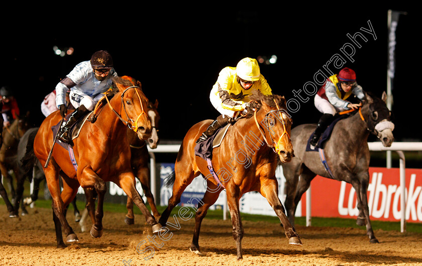 Muay-Thai-0005 
 MUAY THAI (centre, Rossa Ryan) beats HOST (left) in The Ladbrokes Watch Racing Online For Free Handicap
Wolverhampton 11 Jan 2021 - Pic Steven Cargill / Racingfotos.com