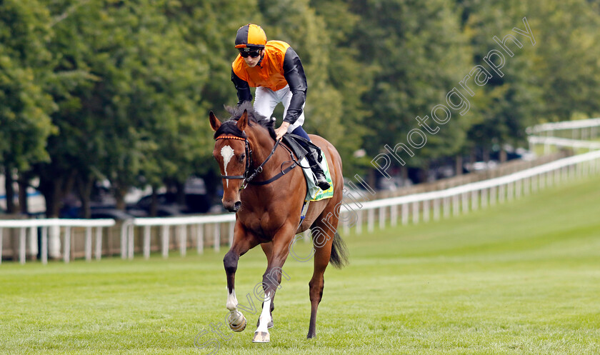 Arabian-Dusk-0009 
 ARABIAN DUSK (Harry Davies) winner of The Duchess Of Cambridge Stakes
Newmarket 12 Jul 2024 - pic Steven Cargill / Racingfotos.com