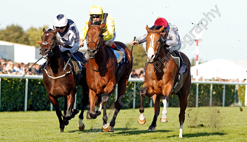 Qaysar-0002 
 QAYSAR (right, Pat Dobbs) beats BAYROOT (centre) and BALTIC BARON (left) in The P J Towey Construction Ltd Handicap
Doncaster 14 Sep 2019 - Pic Steven Cargill / Racingfotos.com