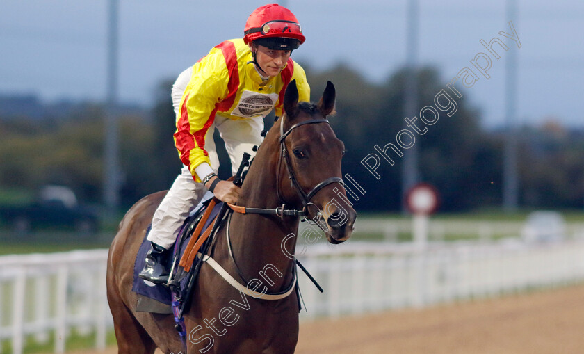 Knights-Spear-0001 
 KNIGHTS SPEAR (Sean Kirrane)
Southwell 4 Oct 2022 - Pic Steven Cargill / Racingfotos.com