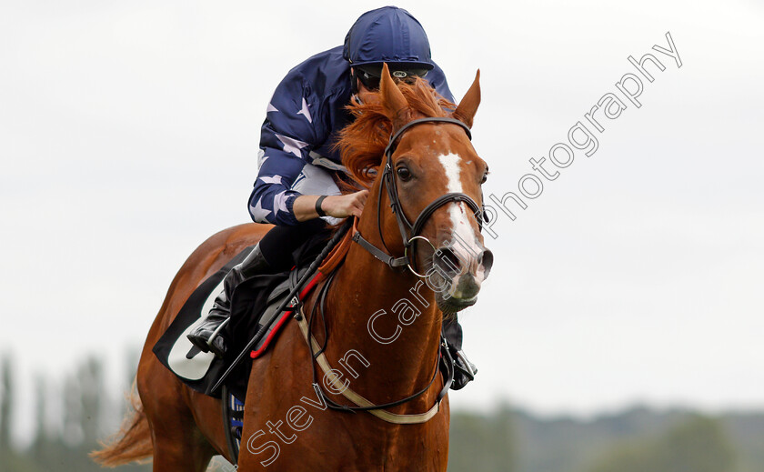 Island-Bandit-0007 
 ISLAND BANDIT (Jack Mitchell) wins The BetVictor EBF Maiden Stakes Div1
Newbury 13 Aug 2021 - Pic Steven Cargill / Racingfotos.com