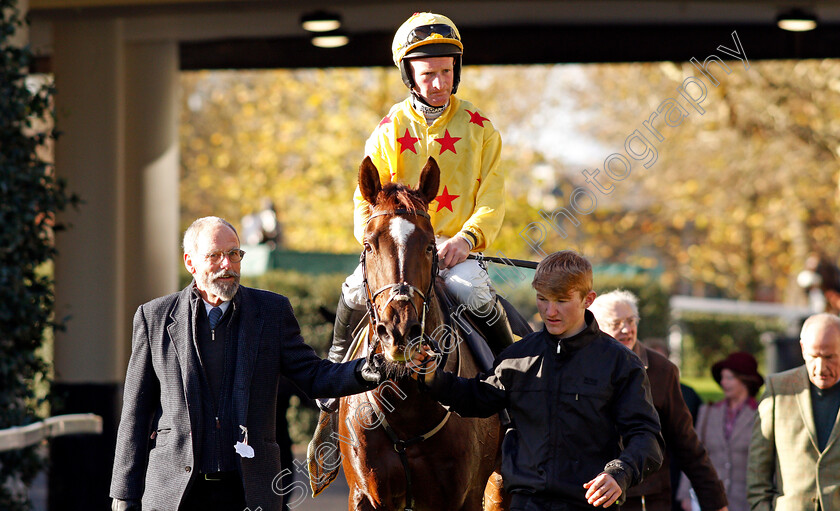 Count-Meribel-0008 
 COUNT MERIBEL (Mark Grant) after The Mitie Events & Leisure Novices Hurdle Ascot 25 Nov 2017 - Pic Steven Cargill / Racingfotos.com