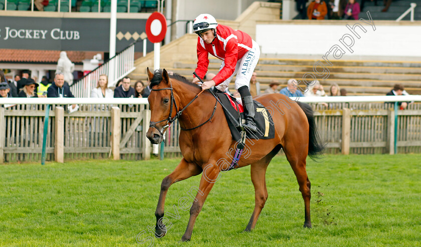 Liberalist-0001 
 LIBERALIST (Ryan Moore)
Newmarket 29 Oct 2022 - Pic Steven Cargill / Racingfotos.com