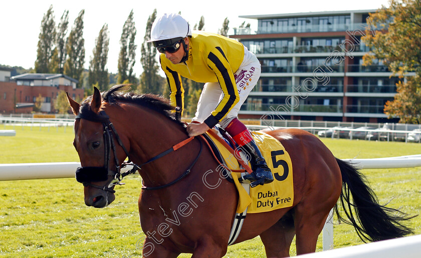 James-Garfield-0001 
 JAMES GARFIELD (Frankie Dettori) winner of The Dubai Duty Free Mill Reef Stakes Newbury 23 Sep 2017 - Pic Steven Cargill / Racingfotos.com