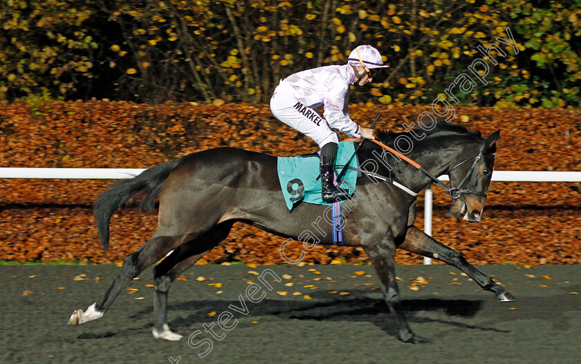 Son-Of-Red-0001 
 SON OF RED (Tom Marquand)
Kempton 27 Nov 2019 - Pic Steven Cargill / Racingfotos.com