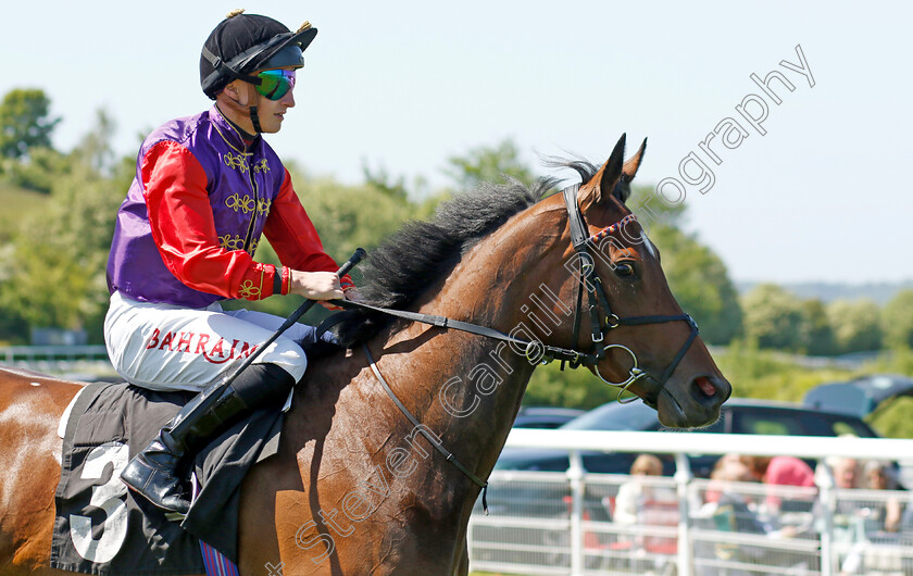 Blue-Missile-0001 
 BLUE MISSILE (Tom Marquand)
Goodwood 26 May 2023 - Pic Steven Cargill / Racingfotos.com