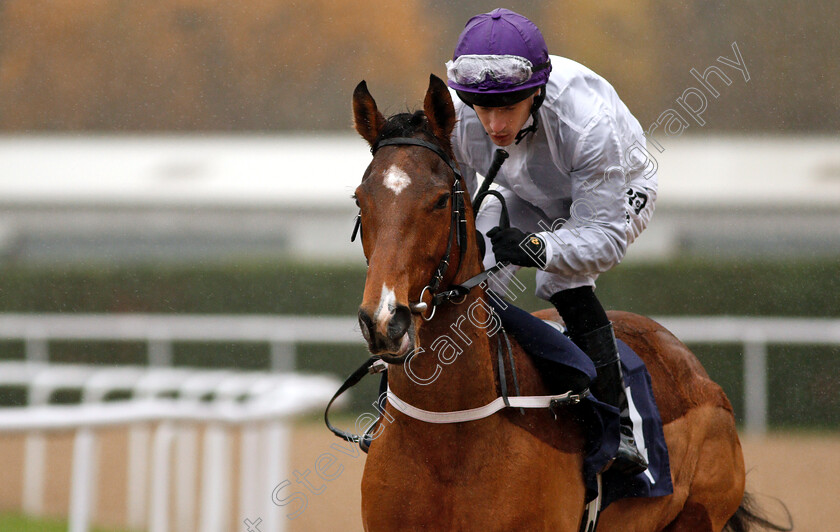 Sister-of-The-Sign-0001 
 SISTER OF THE SIGN (Richard Kingscote)
Wolverhampton 28 Nov 2018 - Pic Steven Cargill / Racingfotos.com