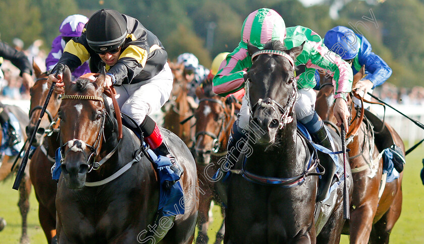 Pogo-0003 
 POGO (right, Kieran Shoemark) beats VITRALITE (left) in The Nationwide Accident Repair Services Handicap
York 23 Aug 2019 - Pic Steven Cargill / Racingfotos.com