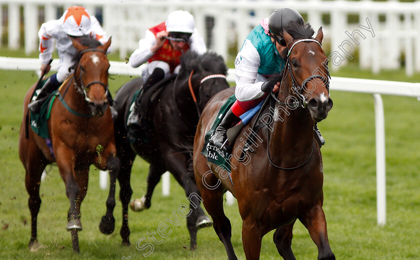 Calyx-0005 
 CALYX (Frankie Dettori) wins The Merriebelle Stable Commonwealth Cup Trial Stakes
Ascot 1 May 2019 - Pic Steven Cargill / Racingfotos.com