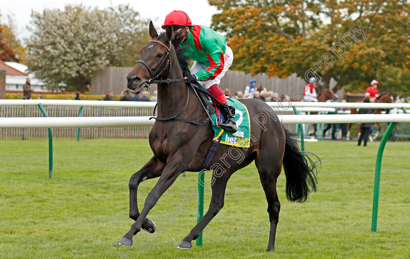 Anastarsia-0001 
 ANASTARSIA (Frankie Dettori)
Newmarket 11 Oct 2019 - Pic Steven Cargill / Racingfotos.com