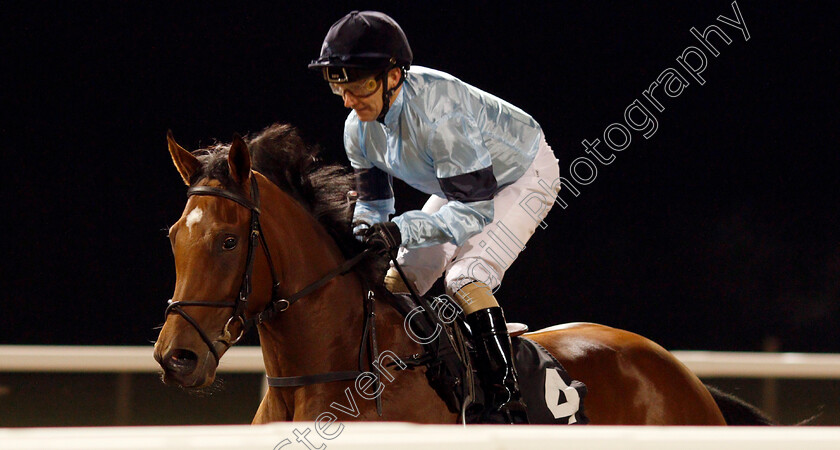 Fantail-0001 
 FANTAIL (Joe Fanning) winner of The Bet totetrifecta At totesport.com EBF Fillies Novice Stakes
Chelmsford 19 Nov 2019 - Pic Steven Cargill / Racingfotos.com