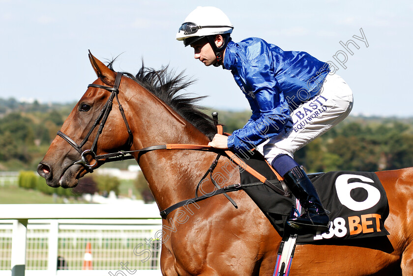 Winter-Lightning-0003 
 WINTER LIGHTNING (Oisin Murphy)
Sandown 1 Sep 2018 - PIc Steven Cargill / Racingfotos.com