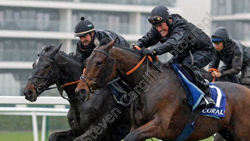 Champ-and-Shishkin-0001 
 CHAMP (right, A P McCoy) and SHISHKIN (left, Nico de Boinville) at Coral Gold Cup Weekend Gallops Morning
Newbury 15 Nov 2022 - Pic Steven Cargill / Racingfotos.com