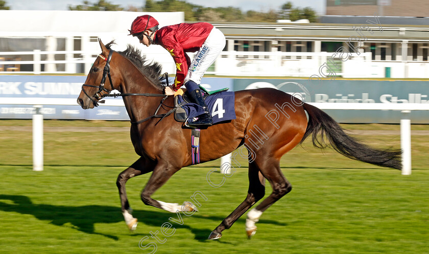 Rosy-Affair-0001 
 ROSY AFFAIR (Billy Loughnane)
Yarmouth 17 Sep 2024 - Pic Steven Cargill / Racingfotos.com