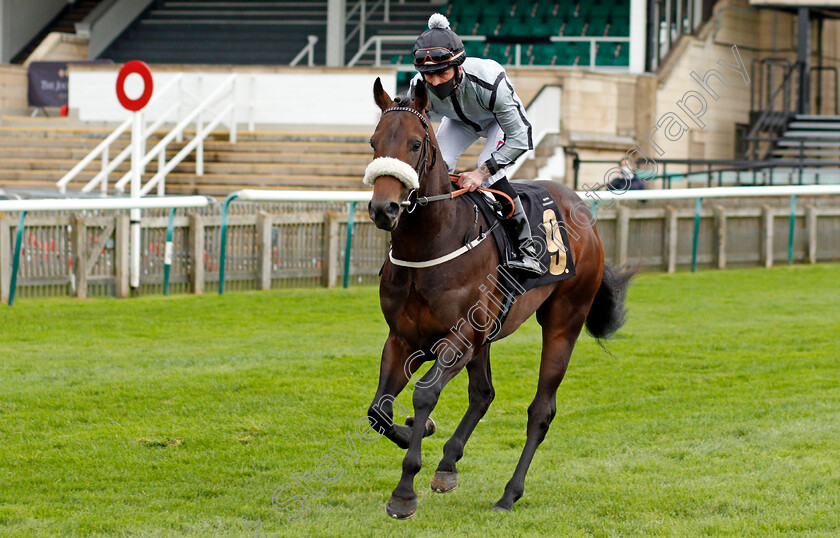 North-Of-Amazing-0001 
 NORTH OF AMAZING (Clifford Lee)
Newmarket 30 Oct 2020 - Pic Steven Cargill / Racingfotos.com