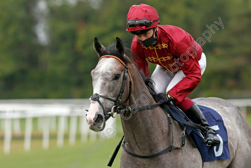 Lost-In-Space-0002 
 LOST IN SPACE (Oisin Murphy) winner of The Betway Novice Stakes
Lingfield 14 Aug 2020 - Pic Steven Cargill / Racingfotos.com