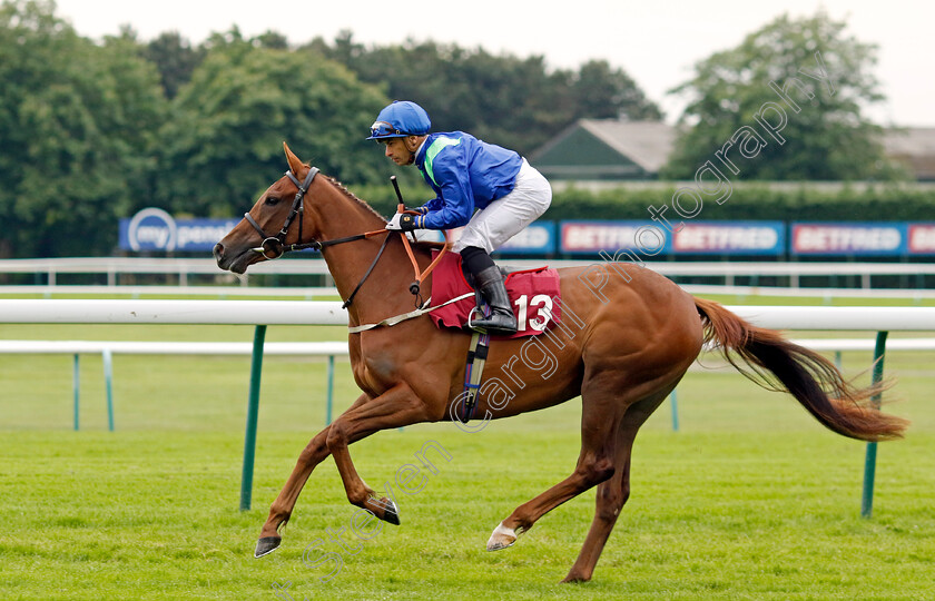 Liberty-Bird-0001 
 LIBERTY BIRD (Silvestre de Sousa)
Haydock 24 May 2024 - Pic Steven cargill / Racingfotos.com