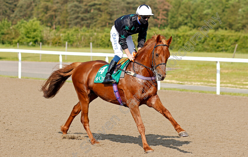 Zayin-Zyperion-0001 
 ZAYIN ZYPERION (Joey Haynes)
Chelmsford 3 Jun 2021 - Pic Steven Cargill / Racingfotos.com