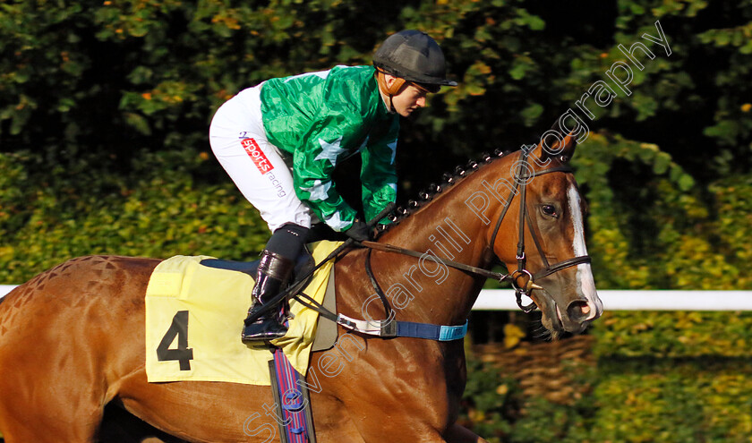 Grovely-Belle-0001 
 GROVELY BELLE (Hollie Doyle)
Kempton 6 Sep 2024 - Pic Steven Cargill / Racingfotos.com