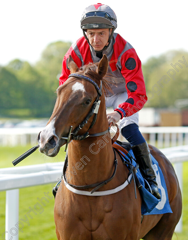 Urban-Dandy 
 URBAN DANDY (Paddy Mathers)
York 12 May 2022 - Pic Steven Cargill / Racingfotos.com