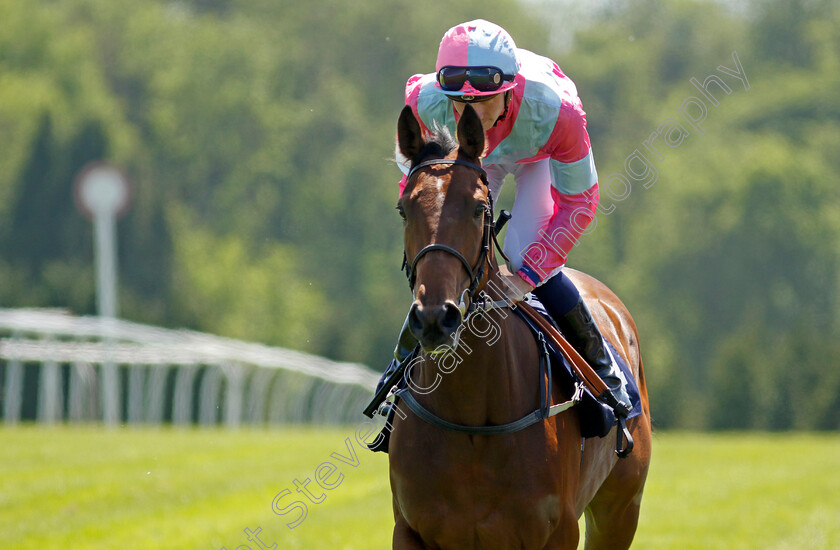 Belisa-De-Vega-0002 
 BELISA DE VEGA (Hector Crouch)
Chepstow 27 May 2022 - Pic Steven Cargill / Racingfotos.com