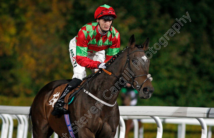 Desert-Ruler-0002 
 DESERT RULER (Jack Garritty) Kempton 4 Oct 2017 - Pic Steven Cargill / Racingfotos.com