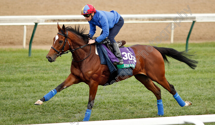 Enable-0002 
 ENABLE (Frankie Dettori) exercising ahead of The Breeders' Cup Turf
Churchill Downs 31 Oct 2018 - Pic Steven Cargill / Racingfotos.com