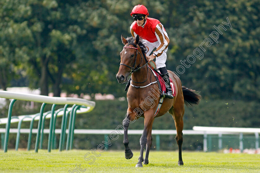 Good-Gracious-0002 
 GOOD GRACIOUS (Daniel Tudhope)
Haydock 2 Sep 2022 - Pic Steven Cargill / Racingfotos.com