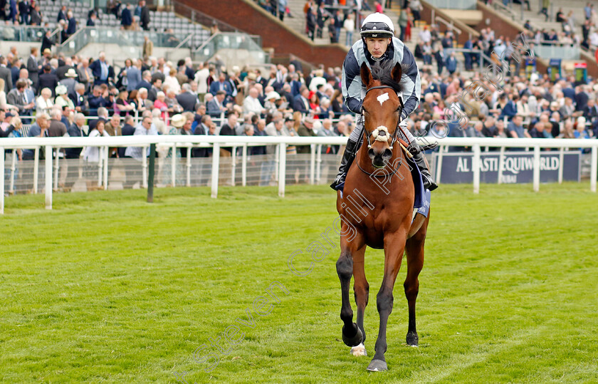 Passenger-0002 
 PASSENGER (Richard Kingscote)
York 18 May 2023 - Pic Steven Cargill / Racingfotos.com