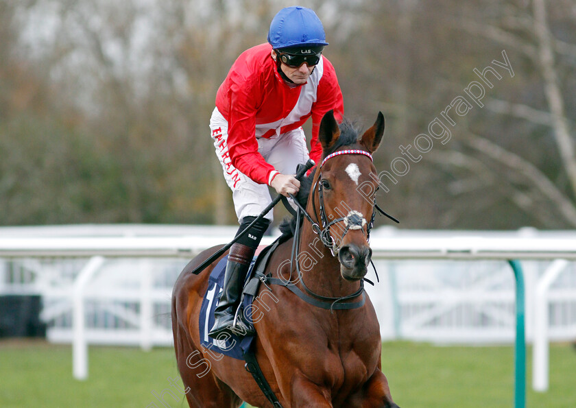 Sylvia-Beach 
 SYLVIA BEACH (Robert Havlin)
Lingfield 1 Dec 2021 - Pic Steven Cargill / Racingfotos.com