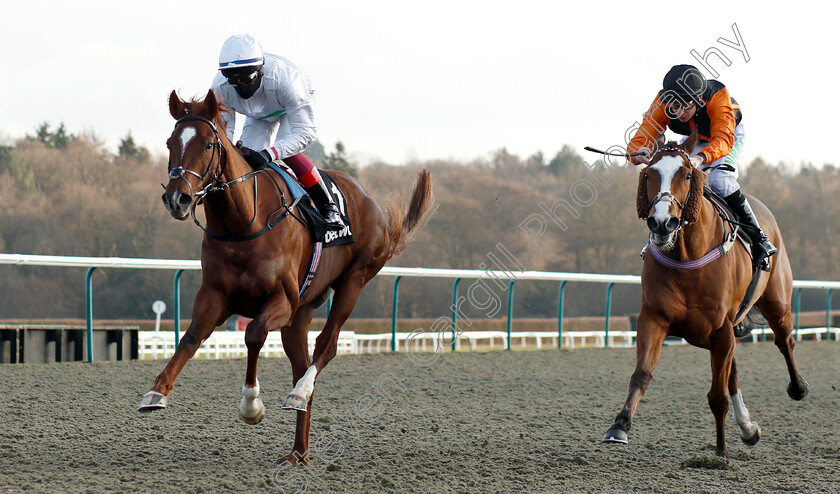 Wissahickon-0004 
 WISSAHICKON (Frankie Dettori) beats BIG COUNTRY (right) in The Betway Winter Derby Trial Stakes
Lingfield 2 Feb 2019 - Pic Steven Cargill / Racingfotos.com