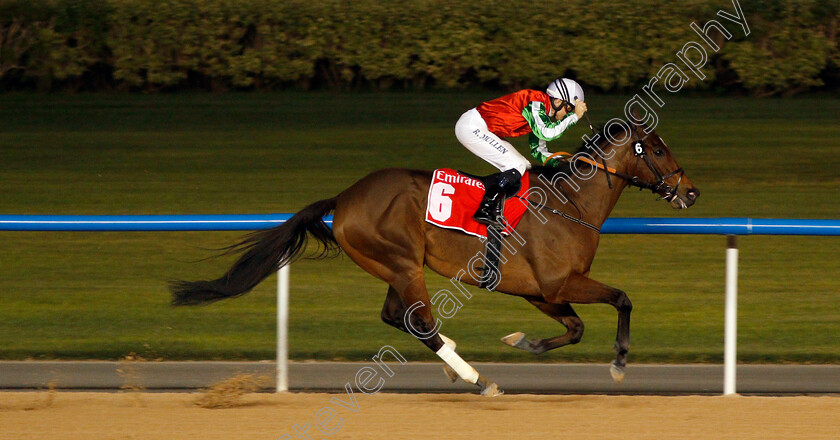 North-America-0008 
 NORTH AMERICA (Richard Mullen) wins The Al Maktoum Challenge (Round 3) Meydan Dubai 10 Mar 2018 - Pic Steven Cargill / Racingfotos.com