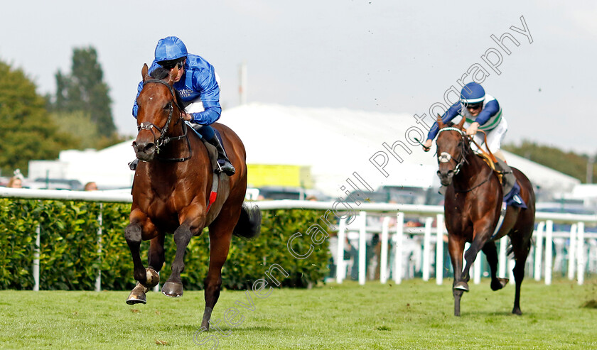 Adayar-0005 
 ADAYAR (William Buick) wins The Hilton Garden Inn Doncaster Conditions Stakes
Doncaster 8 Sep 2022 - Pic Steven Cargill / Racingfotos.com