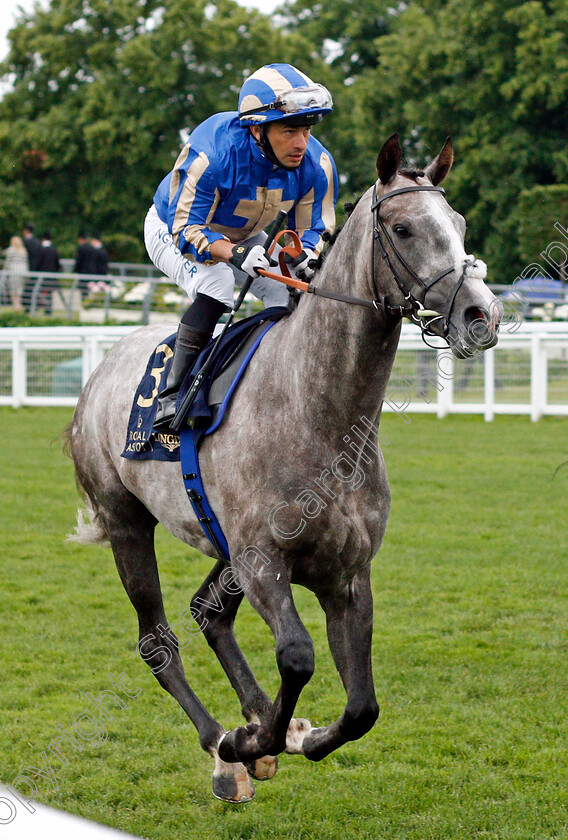 Belloccio-0001 
 BELLOCCIO (Silvestre De Sousa)
Ascot 18 Jun 2021 - Pic Steven Cargill / Racingfotos.com