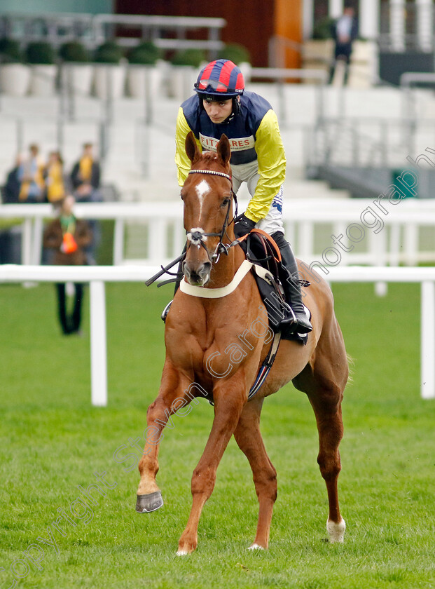 Pic-Roc-0005 
 PIC ROC (Ben Jones) winner of The Ascot Shop Novices Hurdle
Ascot 17 Feb 2024 - Pic Steven Cargill / Racingfotos.com