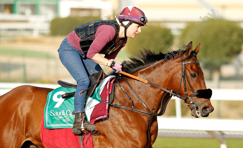 Remorse-0001 
 REMORSE training for The Saudi Cup
King Abdulaziz Racecourse, Kingdom of Saudi Arabia, 22 Feb 2023 - Pic Steven Cargill / Racingfotos.com