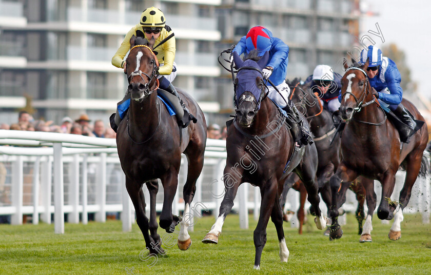 Fennaan-0002 
 FENNAAN (centre, Jimmy Fortune) beats SAM GOLD (left) in The Wedgewood Estates EBF Novice Stakes Div1 Newbury 23 Sep 2017 - Pic Steven Cargill / Racingfotos.com