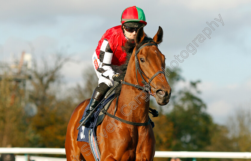 Hul-Ah-Bah-Loo 
 HUL AH BAH LOO (Hollie Doyle)
Lingfield 28 Oct 2021 - Pic Steven Cargill / Raingfotos.com