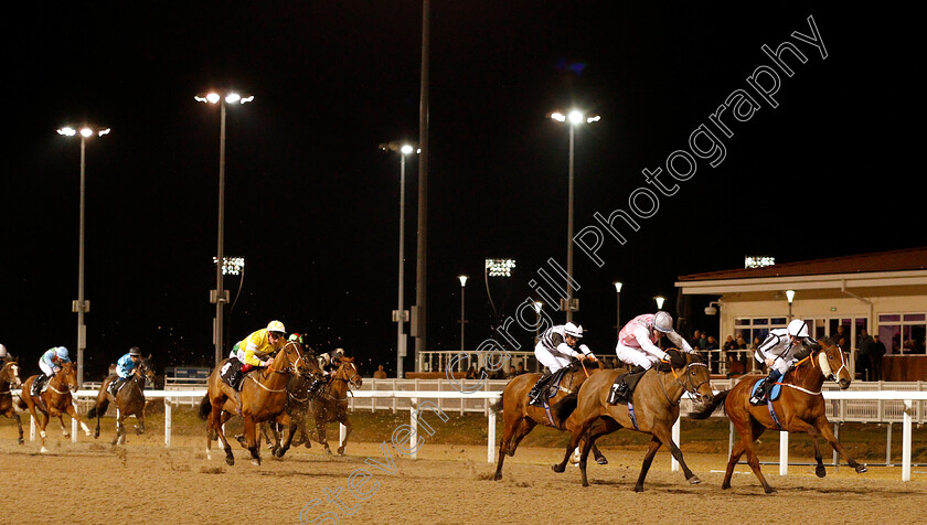 Lady-Wolf-0001 
 LADY WOLF (right, Rob Hornby) beats CHAKRII (2nd right) in The Little Leighs Handicap
Chelmsford 20 Feb 2019 - Pic Steven Cargill / Racingfotos.com