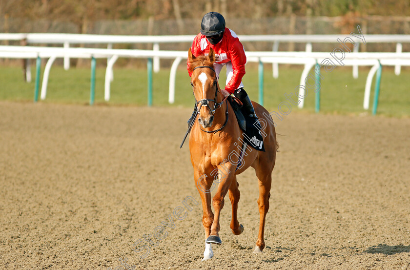 Felix-0001 
 FELIX (Hollie Doyle)
Lingfield 27 Feb 2021 - Pic Steven Cargill / Racingfotos.com