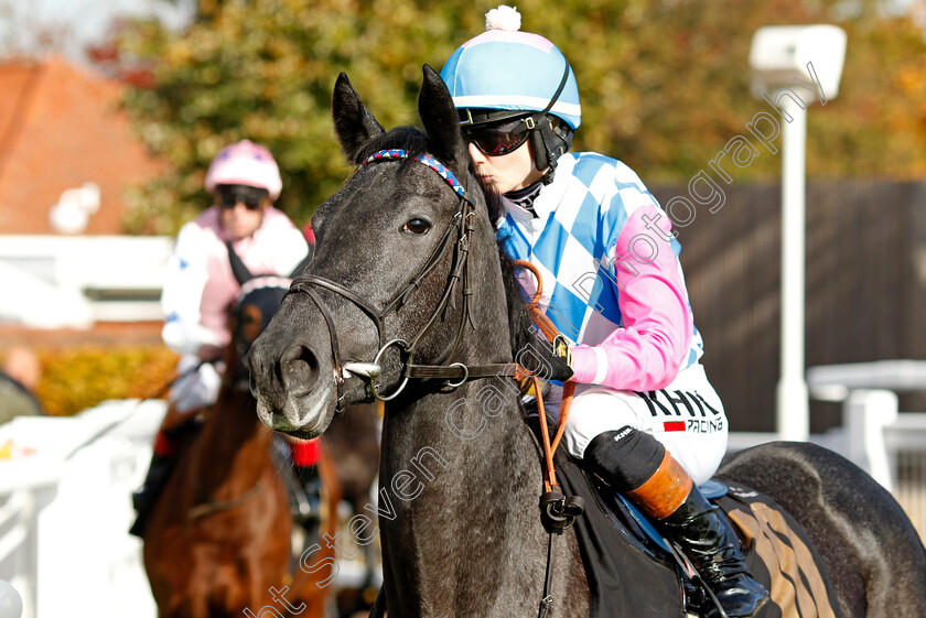 Silver-Nightfall-0001 
 SILVER NIGHTFALL (Saffie Osborne)
Newmarket 19 Oct 2022 - Pic Steven Cargill / Racingfotos.com