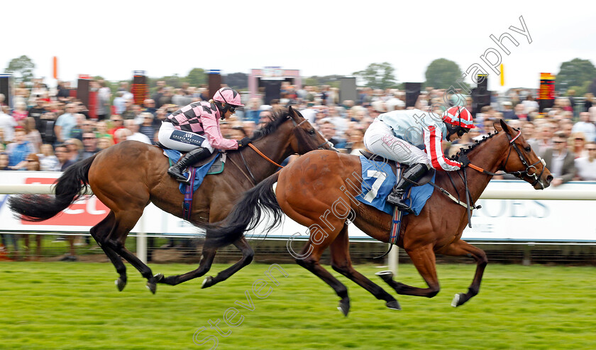 Zealandia-0003 
 ZEALANDIA (Alice Stevens) wins The Queen Mother's Cup
York 11 Jun 2022 - Pic Steven Cargill / Racingfotos.com