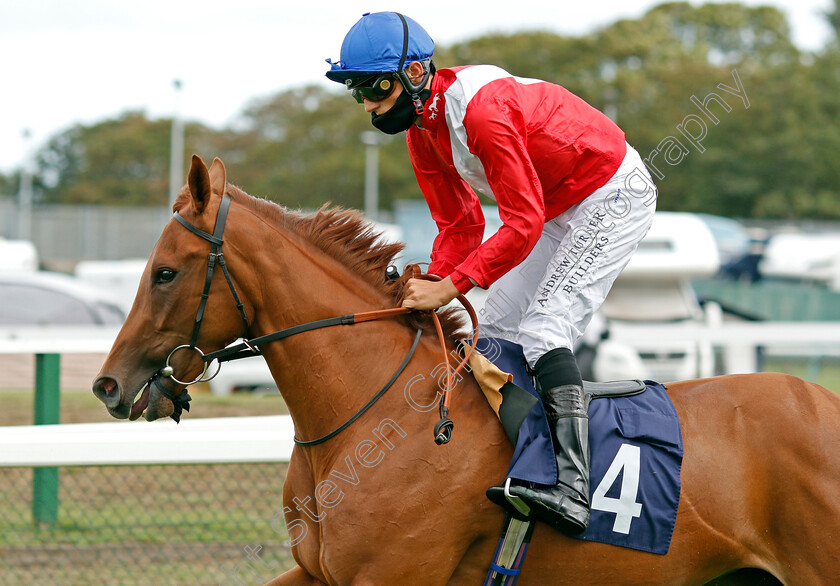 Dutch-Light-0001 
 DUTCH LIGHT (George Wood)
Yarmouth 25 Aug 2020 - Pic Steven Cargill / Racingfotos.com