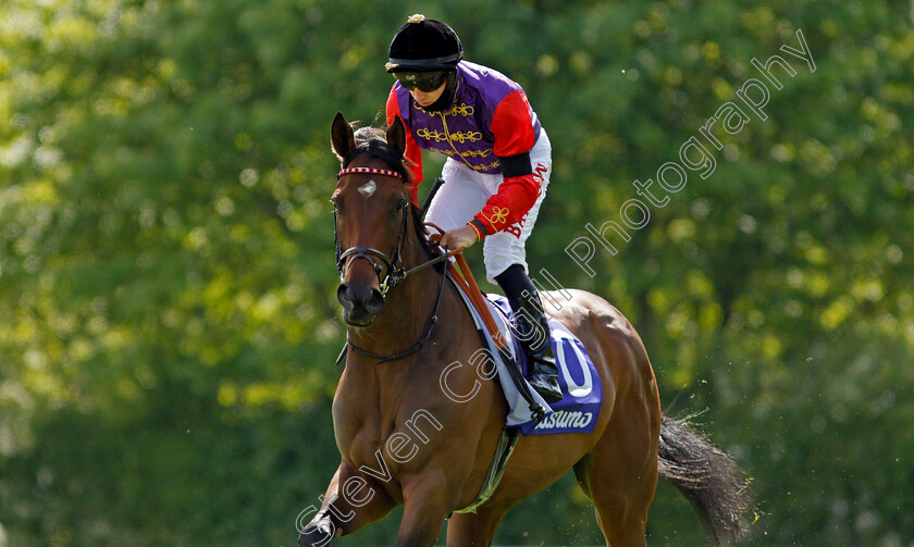 Light-Refrain-0003 
 LIGHT REFRAIN (Tom Marquand)
Haydock 22 May 2021 - Pic Steven Cargill / Racingfotos.com