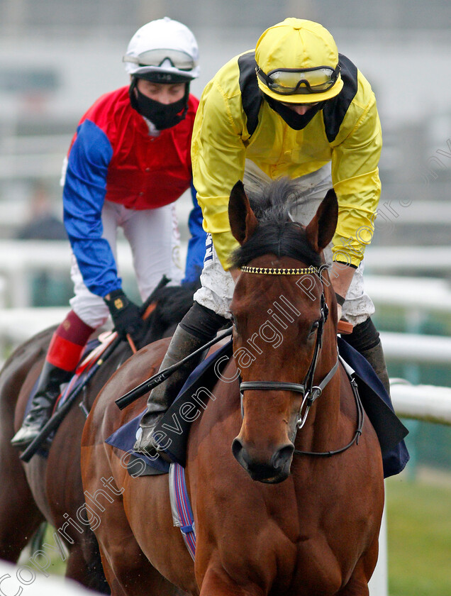 Tarroob-0001 
 TARROOB (Tom Marquand)
Doncaster 7 Nov 2020 - Pic Steven Cargill / Racingfotos.com