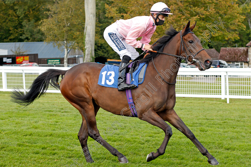 Pensada-0002 
 PENSADA (Harry Bentley)
Salisbury 1 Oct 2020 - Pic Steven Cargill / Racingfotos.com