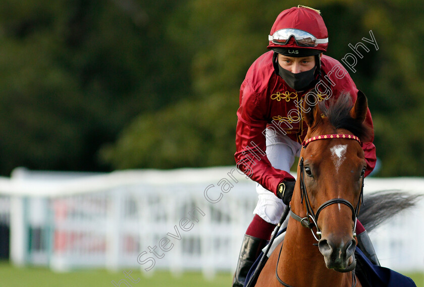 Code-Of-Silence-0002 
 CODE OF SILENCE ridden by Cieren Fallon in the colours of Qatar Racing
Lingfield 26 Aug 2020 - Pic Steven Cargill / Racingfotos.com